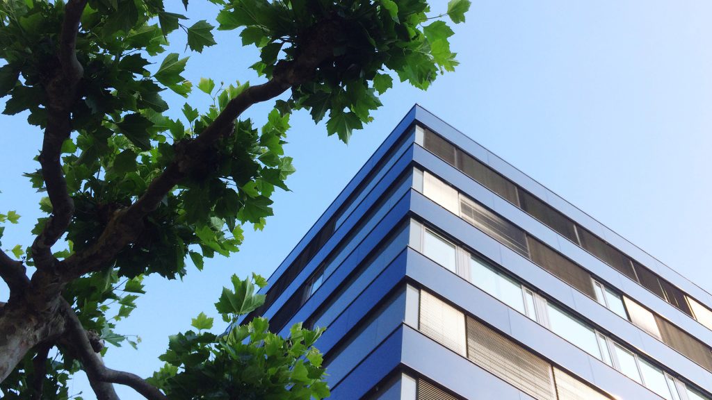 Commercial Build-Out Contraction in Sherman Oaks
