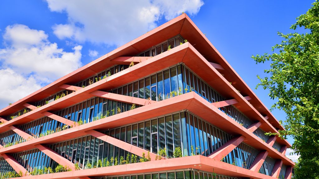 Commercial Build-Out Contraction
